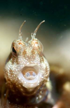 �����@�΍�